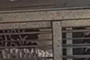 Какой хулиган