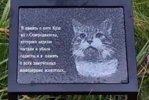 В Санкт-Петербурге открыли памятник коту Кузе, который пострадал от рук "людей"