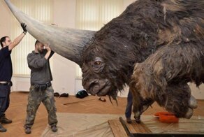 40 исторических фото, которые позволят взглянуть на прошлое другими глазами