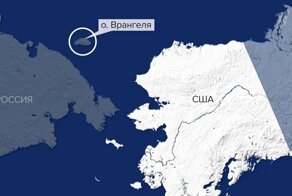 Любопытные факты об острове Врангеля