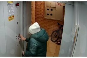 Женщина заболталась по телефону и чуть не погубила свою собаку