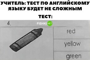 Без мемного кота не обойтись: учим английский язык