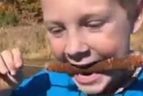 Мальчик решил попробовать рогоз на вкус