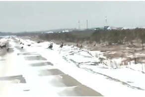 Неожиданная встреча с глухарями на дороге