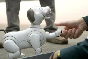 Китайская молодежь гуляет с собаками-роботами вместо живых питомцев