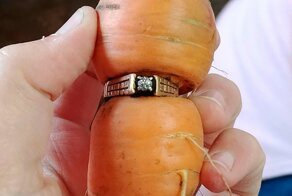 Они разбогатели благодаря удивительным находкам в своём дворе