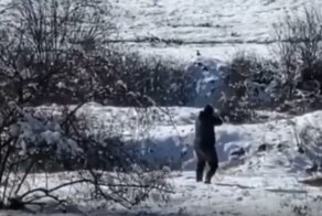 Мазила: счастливый день в жизни зайца