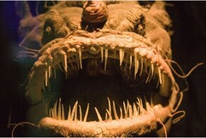 Самые уродливые и жуткие обитатели океана