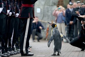 20 необычных ситуаций, с которыми можно столкнуться в Скандинавии