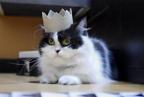 Факты, которые вас удивят