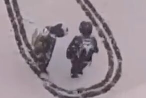 Школьники радуются первому снегу