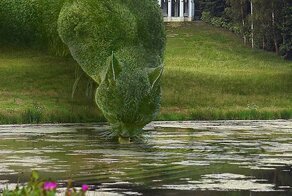 Все деревья и кусты здесь волшебные коты