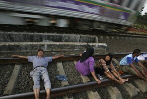 17 любопытных фактов, которые расширят ваш кругозор