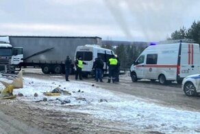 Микроавтобус и фура столкнулись на трассе в Нижегородской области