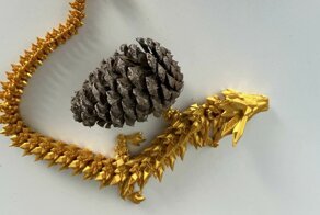 Девушка попробовала выменять сосновую шишку на что-нибудь полезное: вот что вышло