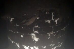 Продюсер BBC поделился видео с места диверсии на газопропроводе "Северный поток"