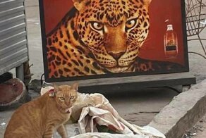 Интересные фотографии