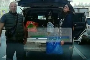 И пусть весь мир подождёт: водитель встал посреди проезжей части, чтобы посадить пассажира