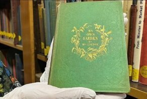 Тайна зелёной книги: зачем средневековое пособие по ботанике отравили ядом?