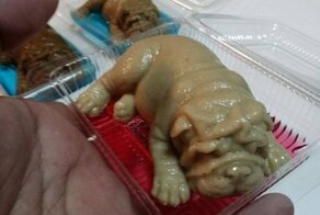 10 самых странных блюд со всего мира