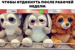 Йожика картинки. Выпуск 248