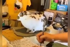 Работник месяца
