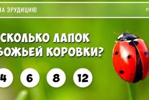 Тест на эрудицию в красных тонах