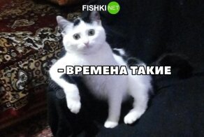Искренне о типичных буднях мужчин, в которых почему-то так много юмора и боли