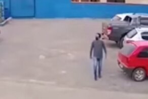 Осторожно, собаки на большой скорости! Самое странное ДТП, которое вы видели
