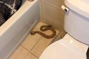 30 раз, когда удача повернулась к людям спиной