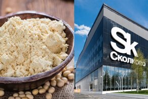 «Вешу 100 кг, жму 150 кг, веган» — перспективы развития производства белка растительного происхождения в России