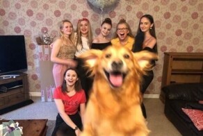 9 уморительных фотографий, которые сделаны в нужное время и в нужном месте
