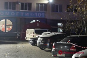 Переполох в «одесском зоопарке»: Так дрил или гамадрил взорвал гранату?