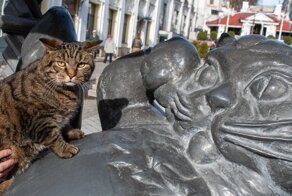 «Мяу» в металле: памятники настоящим и вымышленным котам и кошкам