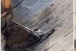 "Было весело, давай ещё!": в Китае экскаваторщик спас щенка и тому понравилось