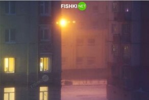 Йожика картинки. Выпуск 254