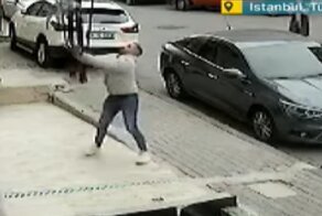 В Стамбуле мужчина поймал кошку, выпавшую из окна