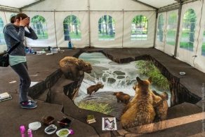 3D-рисунки в Бабушкином парке (58 фото)