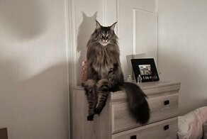 35 обычных фото, от которых веет жутью