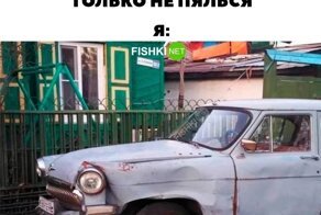 Йожика картинки. Выпуск 257