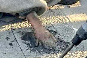 Экоактивиста, приклеевшего себя к автобану, пришлось вырезать вместе с асфальтом