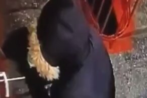 В Нижнем Тагиле женщине не давали спать шумные соседи и она залила их дверь монтажной пеной