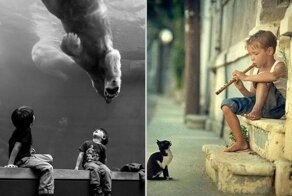 14 удивительных снимков, на которых запечатлена совершенная случайность