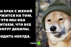 Так и живём... Голая правда о семейной жизни