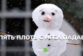 Комментарии и картинки из соцсетей. Свежак за 14 декабря