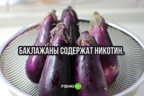 22 коротких факта для тех, кому некогда учиться