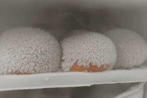 Любопытные явления, произошедшие с обычными вещами