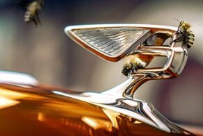 Компания Bentley поставила рекорд, но не по скорости, а по производству мёда