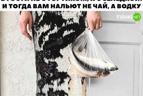 Алкопост на вечер этой пятницы