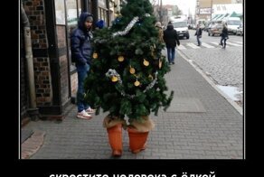 Полистай демотиваторы - зарядись хорошим настроением!